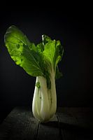 Pak choi photogénique