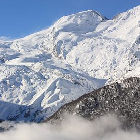 Alpen Zwitserland van Yannick  van Loon
