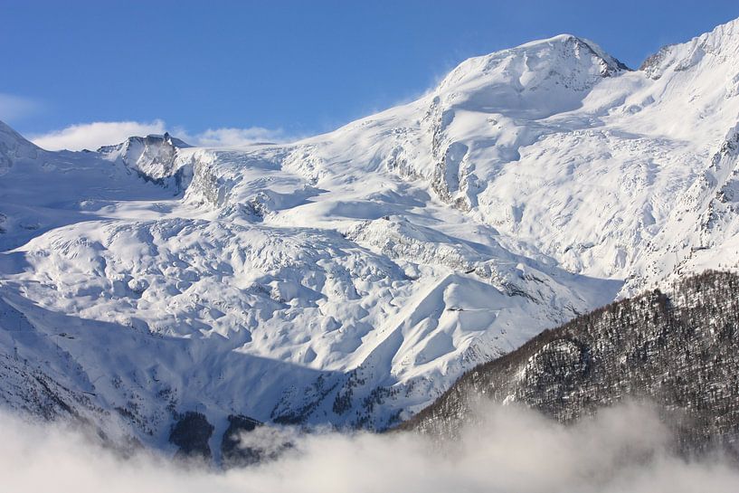 Alpen Zwitserland von Yannick  van Loon