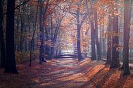 Herbst in Berlin von Heiko Lehmann Miniaturansicht