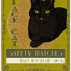 Black Cat Matches Luciferdoos Made In Holland van Karin Steenge