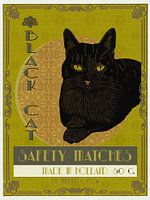 Black Cat Matches Matchbox Made In Holland