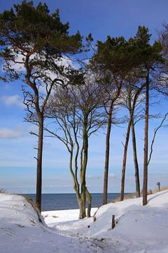 Oostzee-West-strand