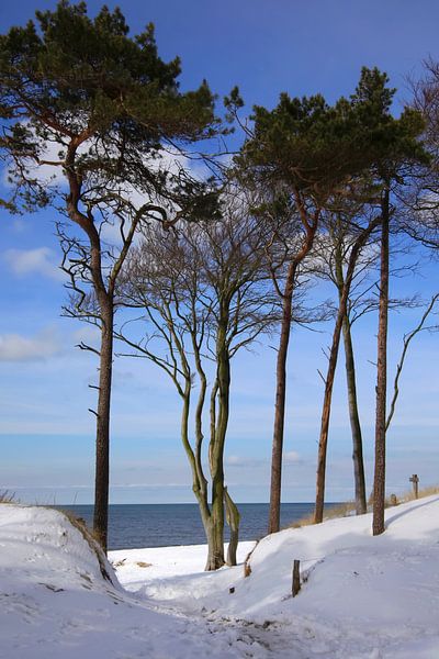 Plage ouest de la mer Baltique par Thomas Jäger