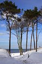Plage ouest de la mer Baltique par Thomas Jäger Aperçu