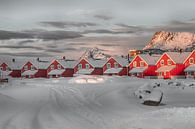 Rode huisjes in de sneeuw van Riccardo van Iersel thumbnail