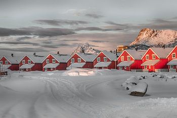 Rode huisjes in de sneeuw