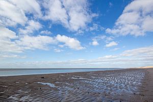 Strand van John Monster