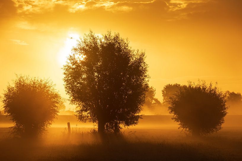 Matin brumeux Opwierde Appingedam 3 par Johan van der Linde