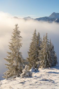 Sonnenaufgang im Tannheimer Tal im Winter. Über den Wolken mit frischem Schnee