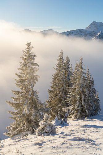 Sunrise in the Tannheimer valley in winter. Above the clouds with fresh snow