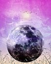 MOON under MAGIC SKY VII van Pia Schneider thumbnail