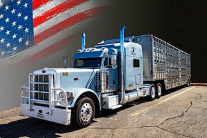 American Truck, Peterbilt, mit Viehtransportwagen.