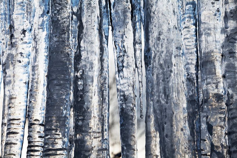icicle by Jürgen Wiesler