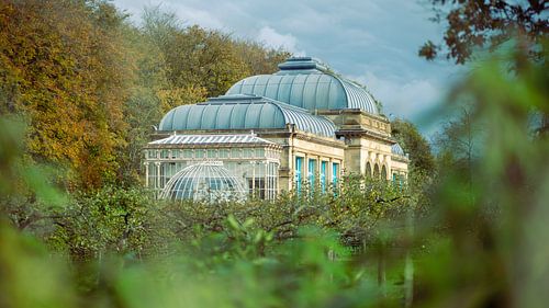 Elswout: Orangerie in Overveen, Blauw Groen
