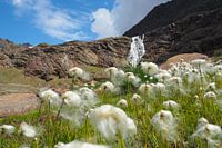 Die Adern der Berge 💦⛰️ Wo Wasser und Stein verschmelzen – pure Kraft, Leben und Ruhe zugleich.