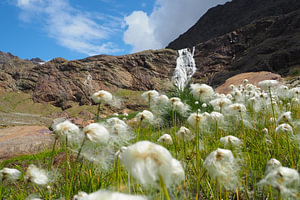 Die Adern der Berge ⛰️ Wo Wasser und Stein verschmelzen – pure Kraft, Leben und Ruhe zugleich.