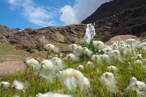 De aderen van de bergen ⛰️ Waar water en steen samensmelten - pure kracht, leven en rust tegelijk.