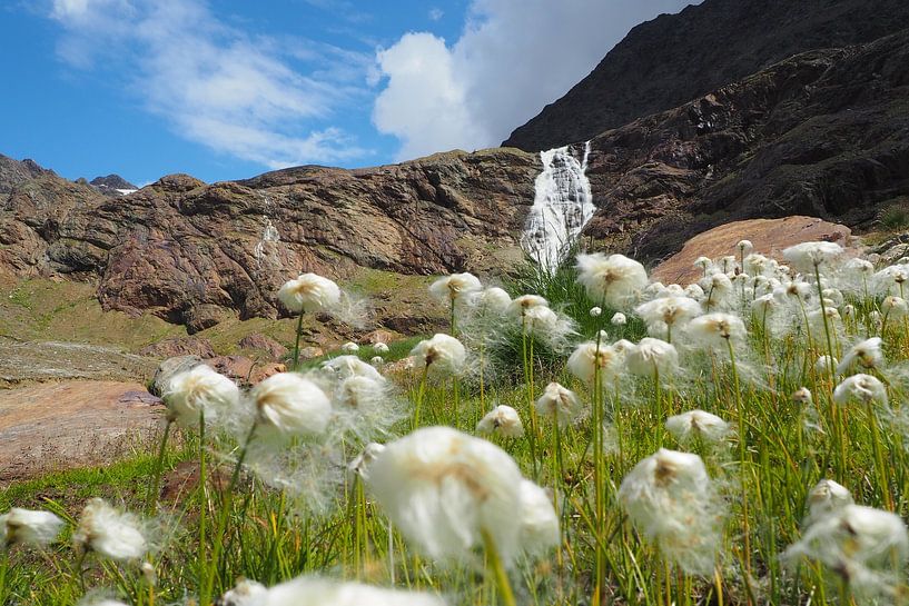 The veins of the mountains 💦⛰️ Where water and stone merge - pure power, life and tranquillity at the same time. by Miriam Schwarzfischer Fotografie