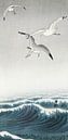 Three seagulls (1900 - 1936) by Ohara Koson by Studio POPPY thumbnail