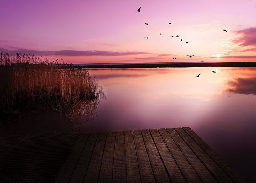 Colors of the North 4 by Maneschijn FOTO