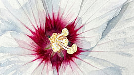 Blumenherz in Aquarell