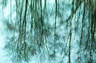 Groene Bomen Reflectie Water | Natuurfotografie van Nanda Bussers thumbnail