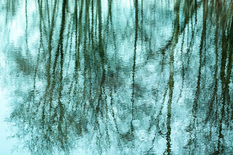 Groene Bomen Reflectie Water | Natuurfotografie van Nanda Bussers