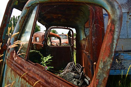 A rusty vista through a car wreck