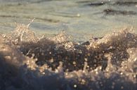 Des vagues rugueuses sur la Côte d'Opale par Astrid Brouwers Aperçu