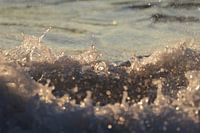 Rough waves on the Opal Coast
