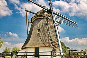 Poldermolen Delphine 1874