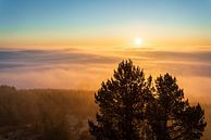 Mistzee op de Bollerberg bij Hesborn in het Sauerland van Sauerland-Fotos by Robin Deimel thumbnail