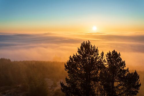 Mistzee op de Bollerberg bij Hesborn in het Sauerland