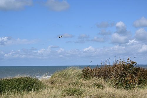 Plage de soleil et de mer