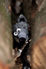 Wolf van Anne Van Opdorp