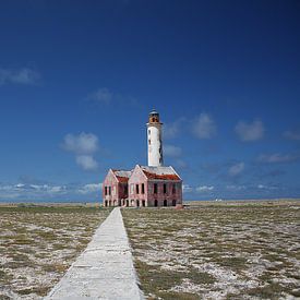 Lighthouse on the prairie von Gerwin Altena