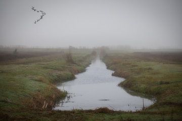sloot in de mist op de Voert van peterheinspictures