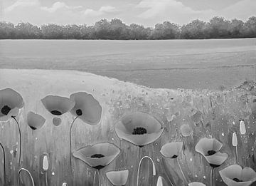 Black and white poppy field by Niek Traas