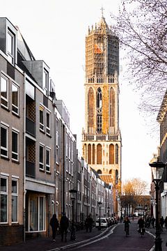 De Dom in Utrecht van pauline smale