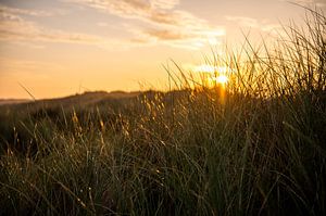 Zonsopkomst bij paal 8 Terschelling van Wendy de Jong