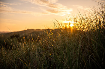 Zonsopkomst bij paal 8 Terschelling