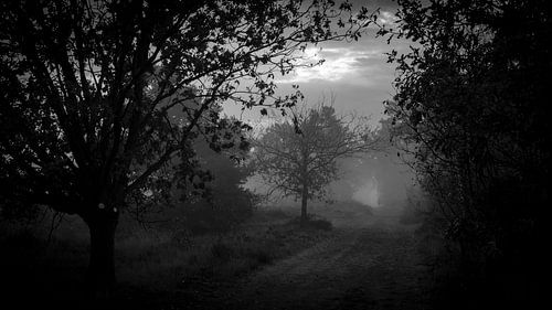 Zandpad in de mist