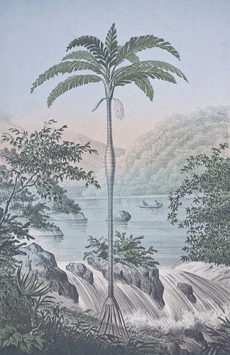 Tropisch landschap bij de waterval