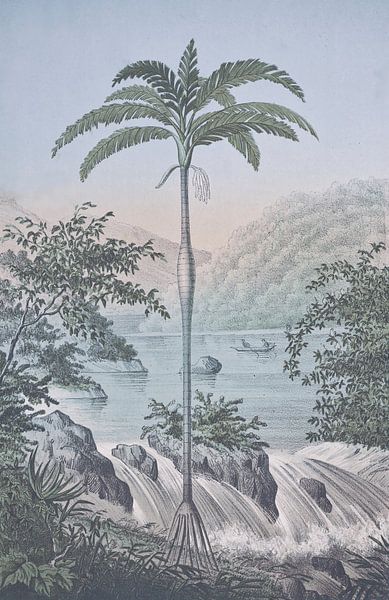 Tropische Landschaft Am Wasserfall von Andrea Haase