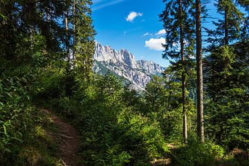Landscape in the Klausbach valley in Berchtesgadener Land