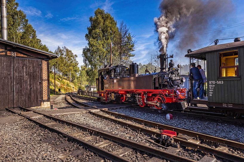 Locomotive à vapeur de la Pressnitztalbahn 991568-7 par Rob Boon