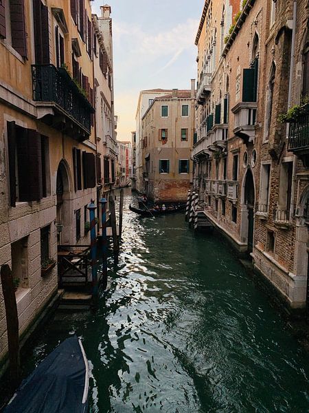 Venice by Hello Pompoyo
