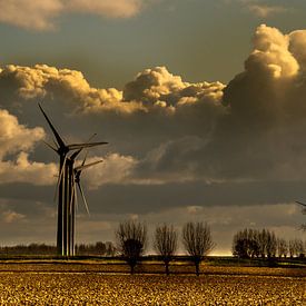 Lucht op Battenoord van Jaap Reedijk