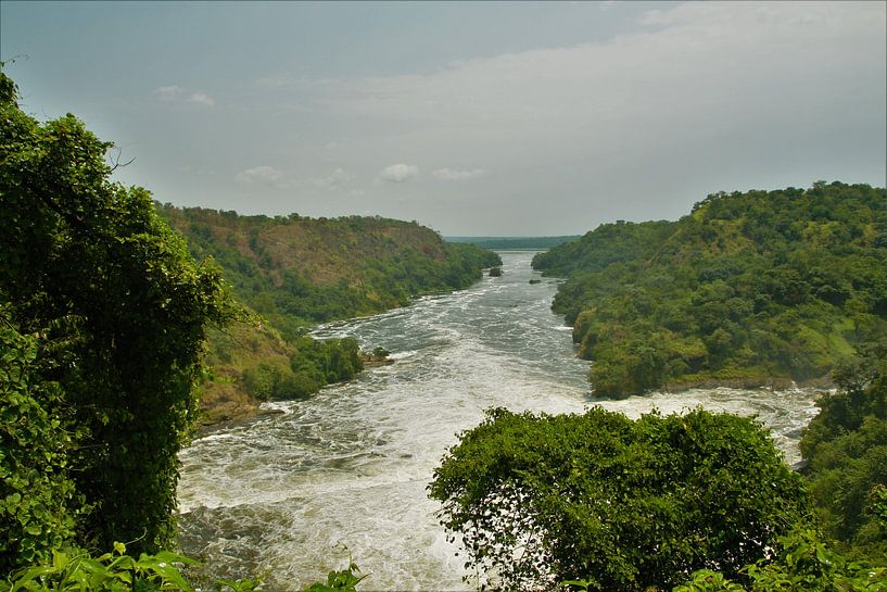 La vengeance de l'eau par Marije Zwart